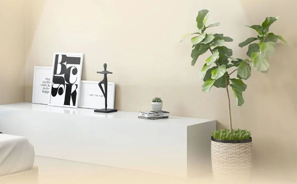 墻面臟污、發(fā)霉、不整潔怎么辦？